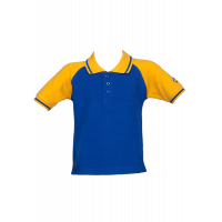 Regular T-Shirt (Royal Blue) (Pre-Nur to STD-8)-TBSG (Malleshwaram)