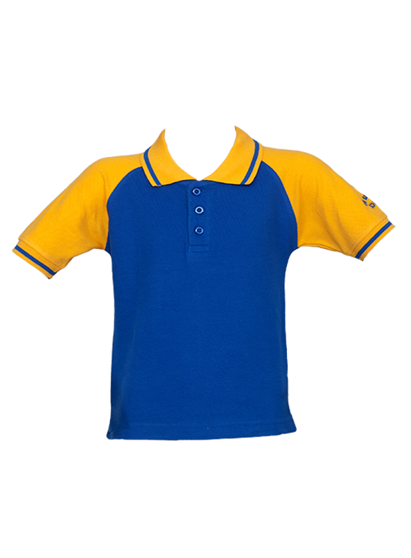 Regular T-Shirt (Royal Blue) (Pre-Nur to STD-8)-TBSG (Malleshwaram)